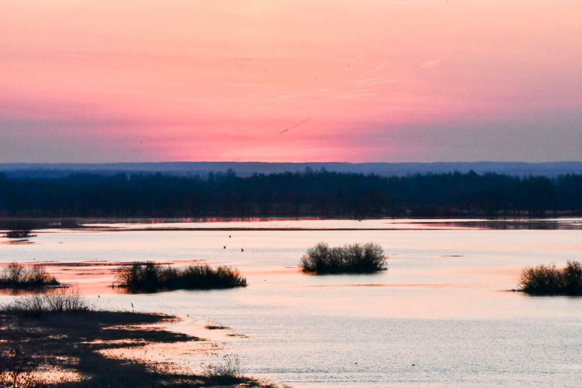 U Wilenskich Wizna Exterior foto